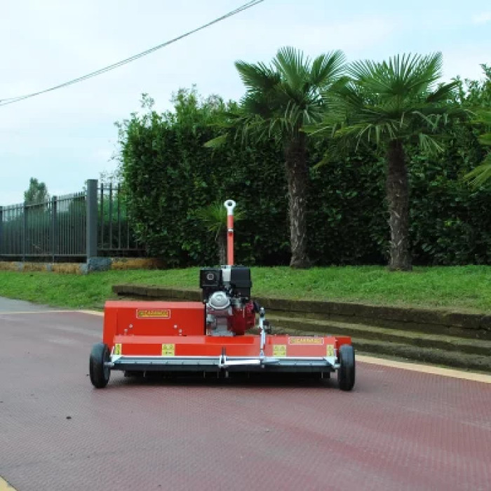 Скарифікатор ARIO 120 Caravaggi HONDA GX270