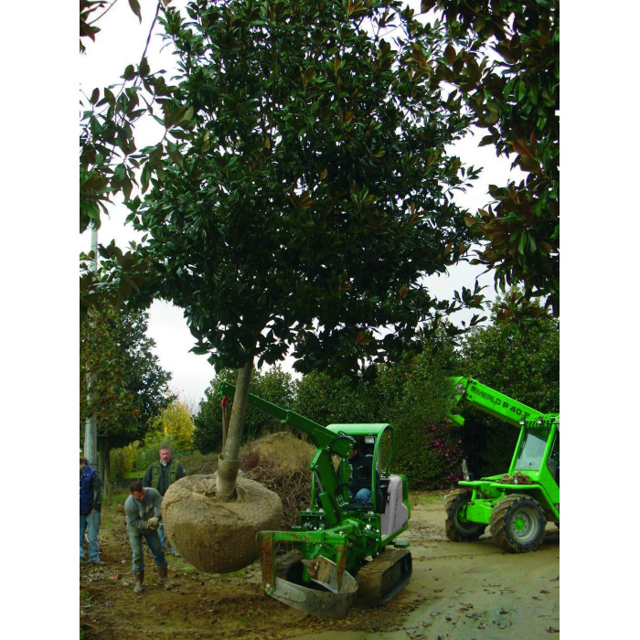 Викопувальна машина Holmac HZC 45