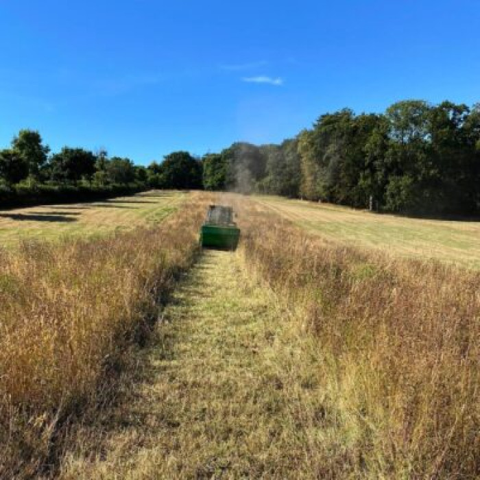 Косарка-мульчер зі збором ELEPHANT SUPER 2200 