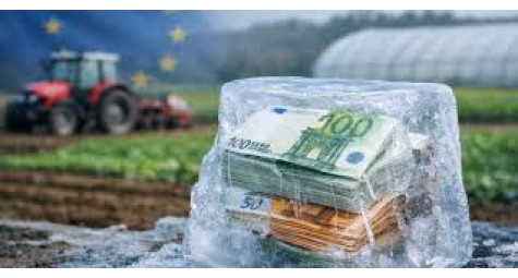 Кліматична тривога: збитки сільському господарству від заморозків сягнули 6 мільярдів.