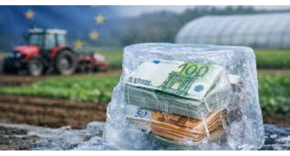 Кліматична тривога: збитки сільському господарству від заморозків сягнули 6 мільярдів.