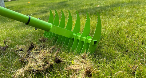 Скарифікація газону