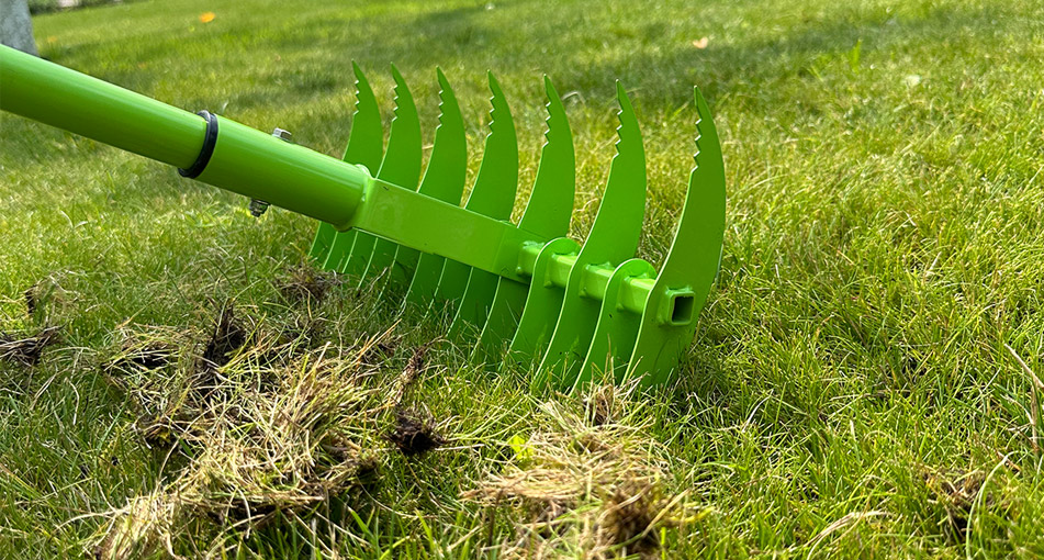 Скарифікація газону
